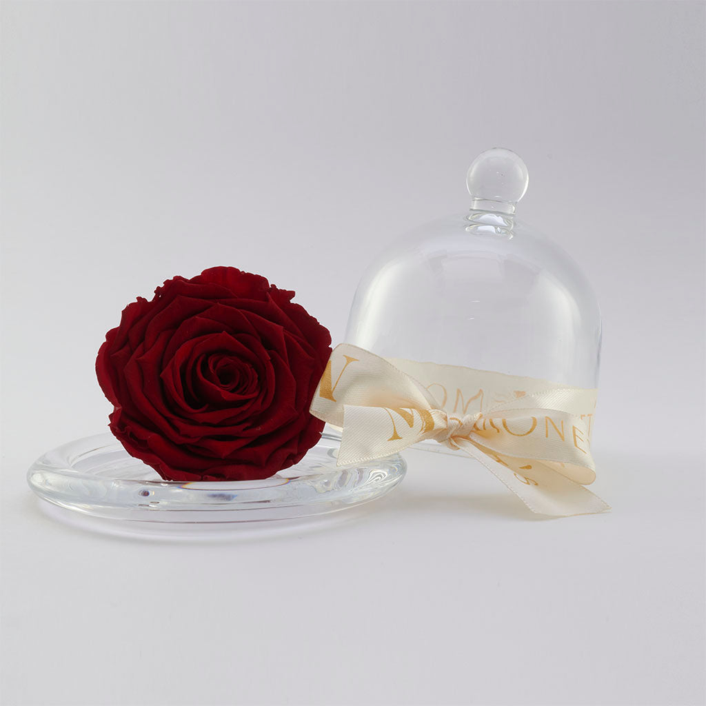 Mini Cinderella: Capelo de cristal con rosa eterna Roja