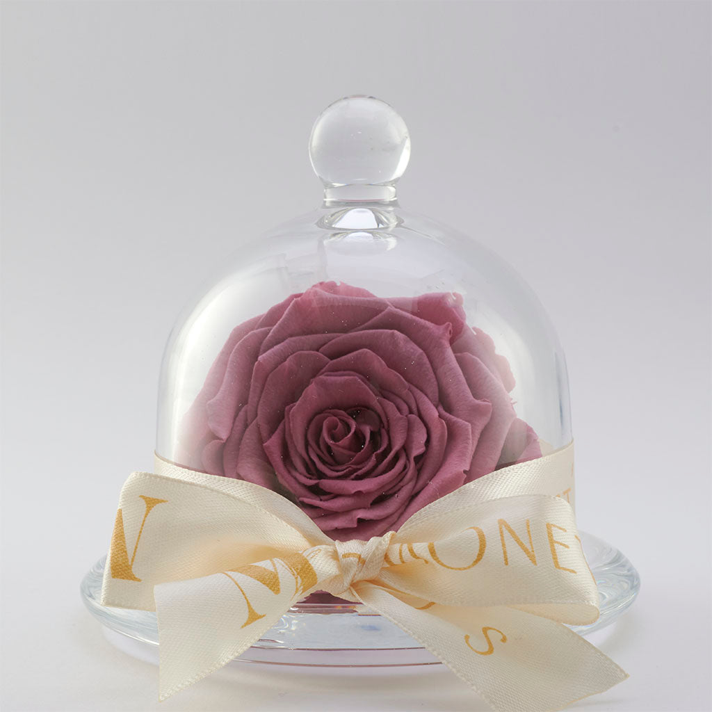 Mini Cinderella: Capelo de cristal con rosa eterna Violeta