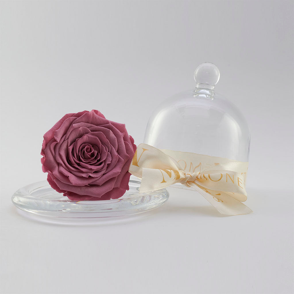 Mini Cinderella: Capelo de cristal con rosa eterna Violeta