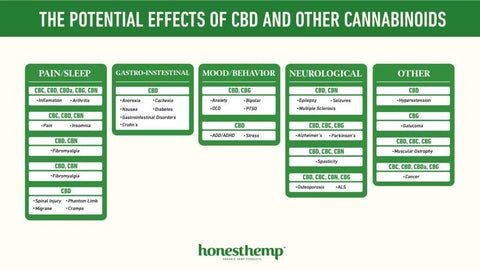 Infographic The Potential Effects Of CBD And Other Cannabinoids