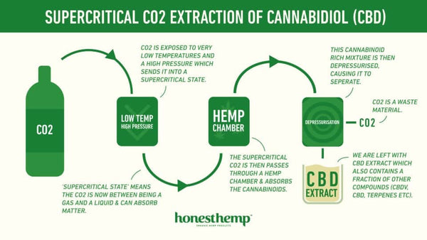 Info Graphic of how CBD is made throught C02 Extraction