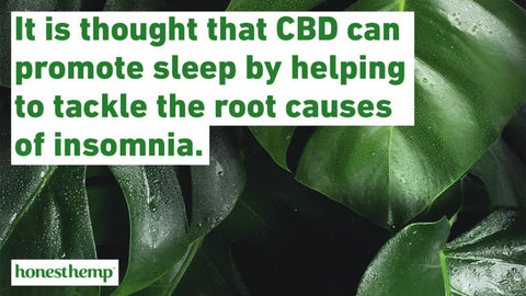 Info Graphic It is thought that CBD can promote sleep by helping tackle the root causes of insomnia 