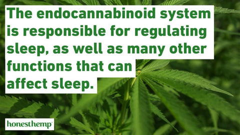 Info graphic the endocannabinoid system is responsible for regulating sleep, as well as many other functions that can affect sleep