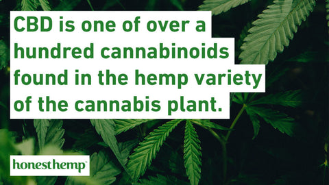 Image CBD is one of over a hundred cannabinoids found in the help variety of the cannabis plant.