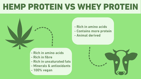 Info Graphic explaining the difference between Hemp Protein and Whey Protein, it continues to explain facts about them