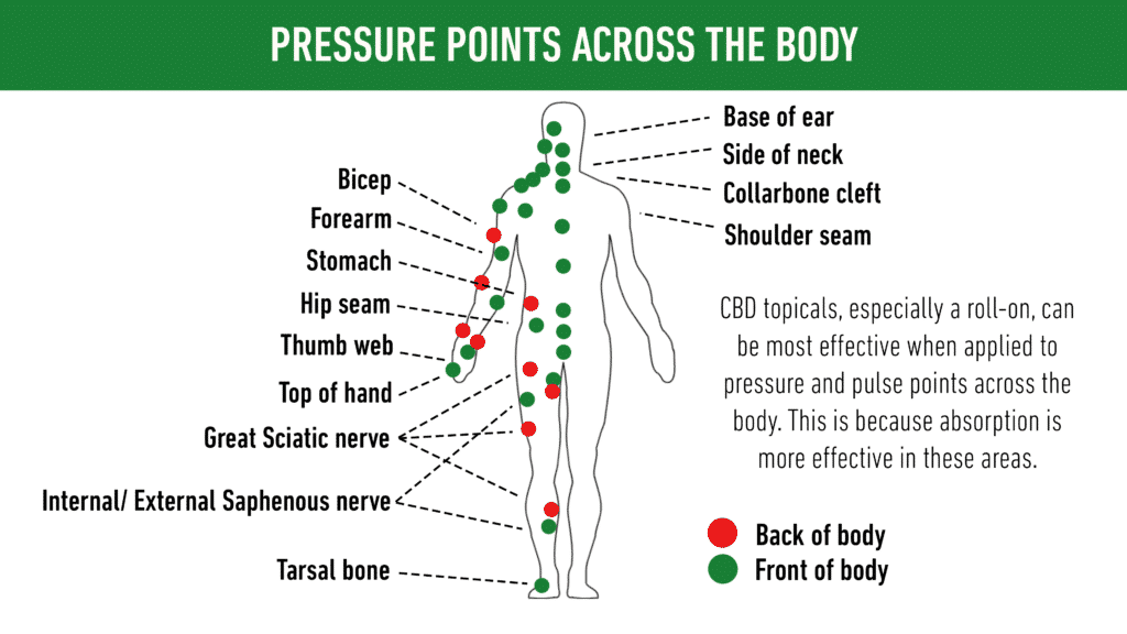 Honest Hemp pressure points diagram to apply CBD