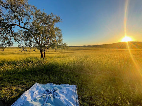 Green open field with sun setting in over the horizon in the clear blue sky. One large tree sits to the left with a blue picnic rug laid beneath
