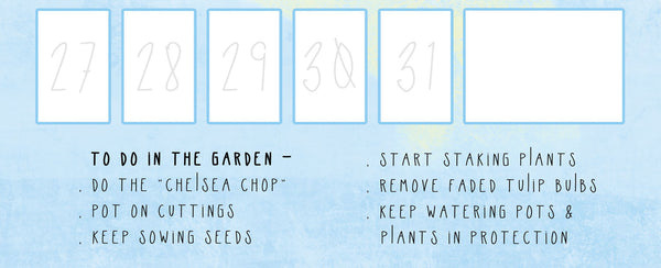 Garden checklist on blue and white background