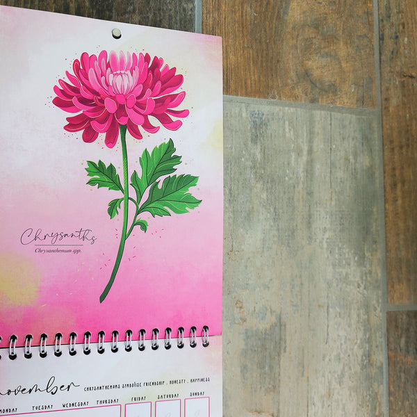 Drawing of a pink chrysanthemum on a wall