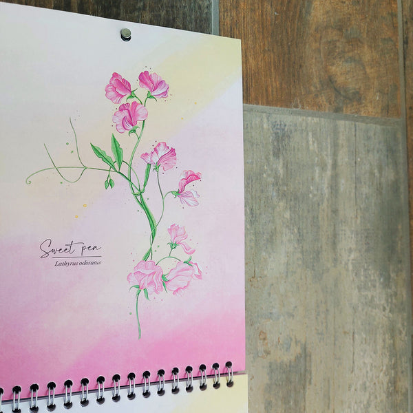 Photo of an illustrated wall calendar with sweet pea picture