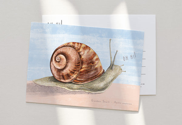 Snail mail postcard on a light background with shadows