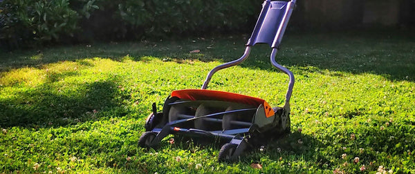 close up image of lawnmower on grass