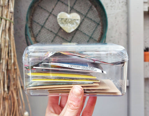 hand holding a clear plastic box with seed packets inside