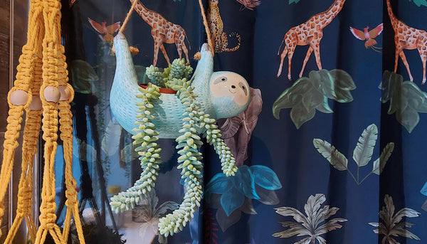 Sedum morganianum Burrito in a blue sloth hanging pot with a dark blue jungle animals print shower curtain behind