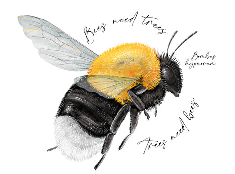 illustration of a tree bumblebee