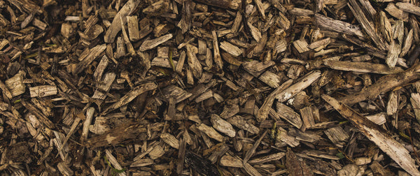 wood chips photographed from above