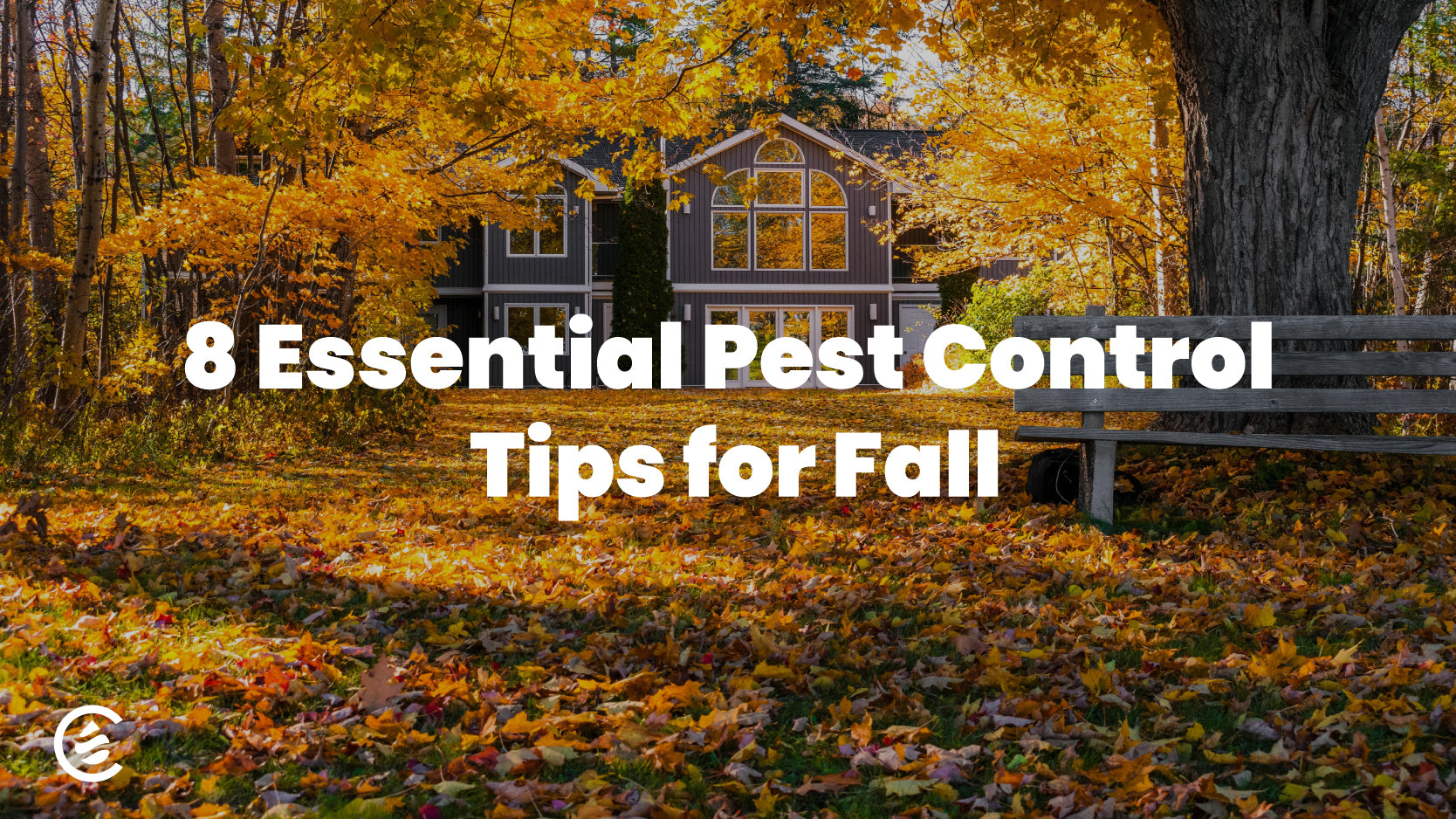 Cedarcide blog lead image, 8 Essential Pest Control Tips for Fall, image features leaves and a home in fall