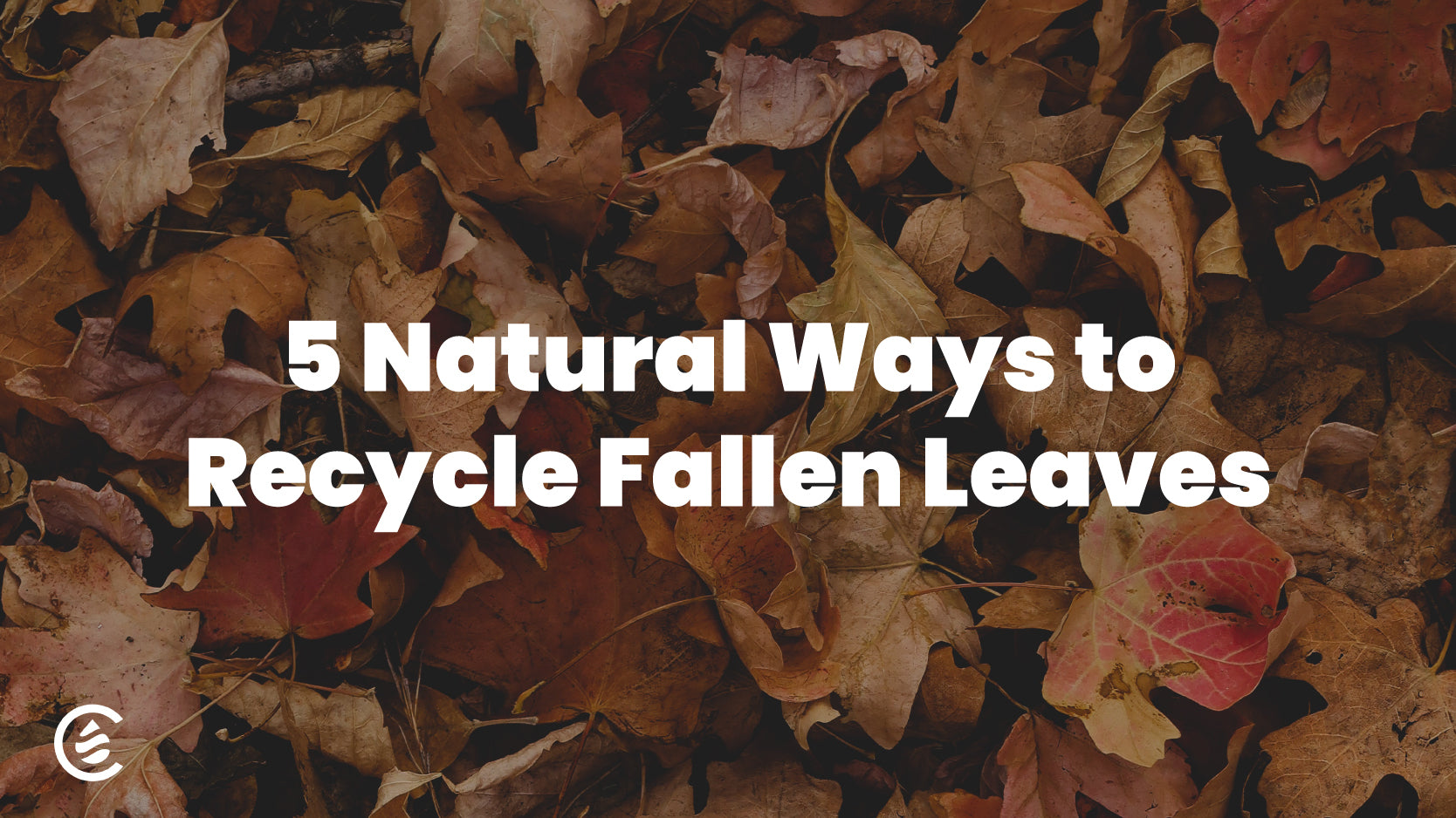 Cedarcide's 5 Natural Ways to Recycle Fallen Leaves, shows a pile of leaves