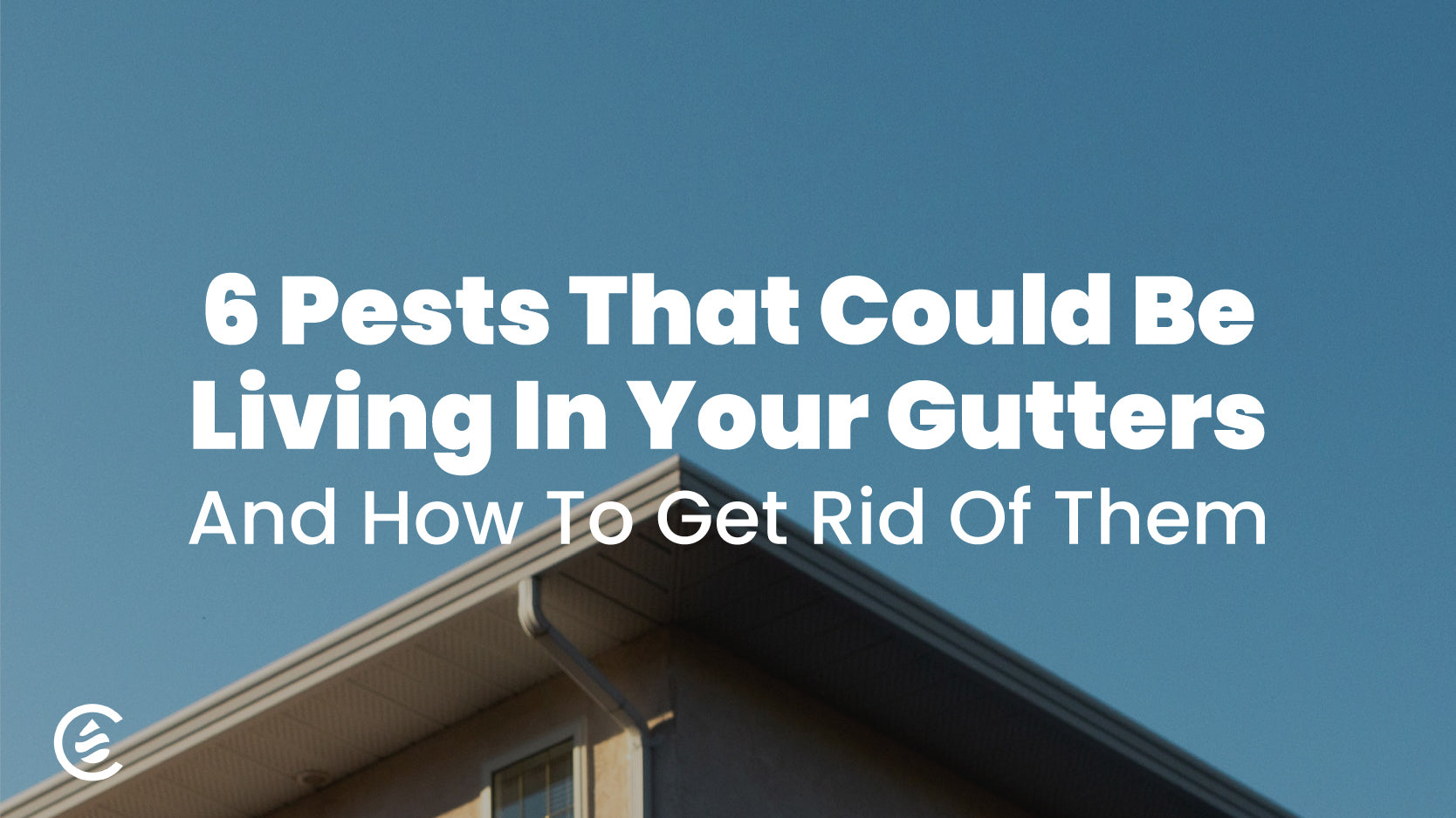 image of gutter and awning against a blue sky: 6 Pests That Could Be Living in Your Gutters and how to get rid of them