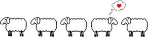 Sated Sheep | Yarn Store in Texas | Fine Yarns, Kits & Accessories ...