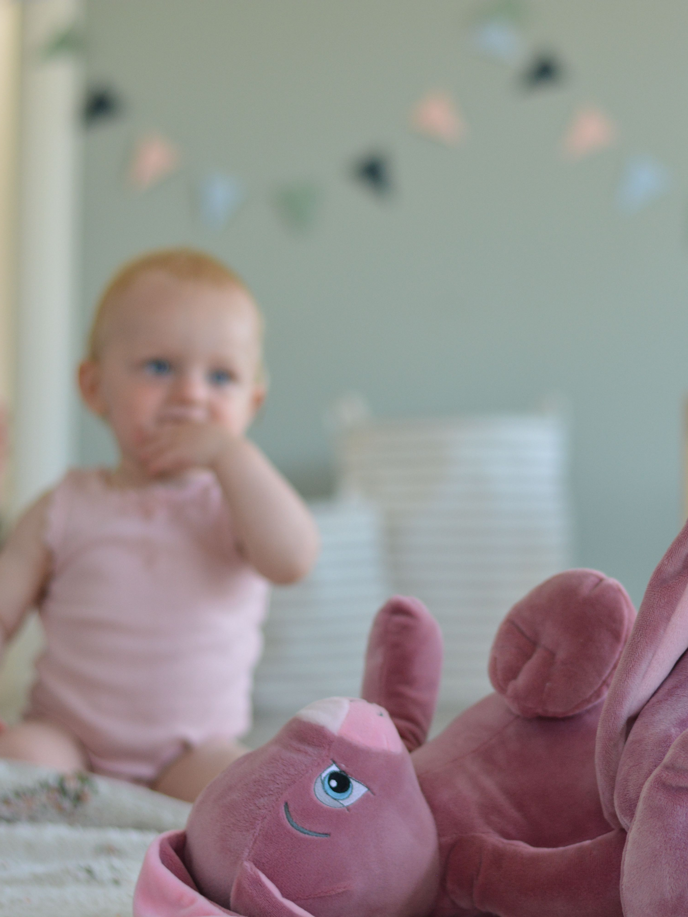 newborn bunny teddy