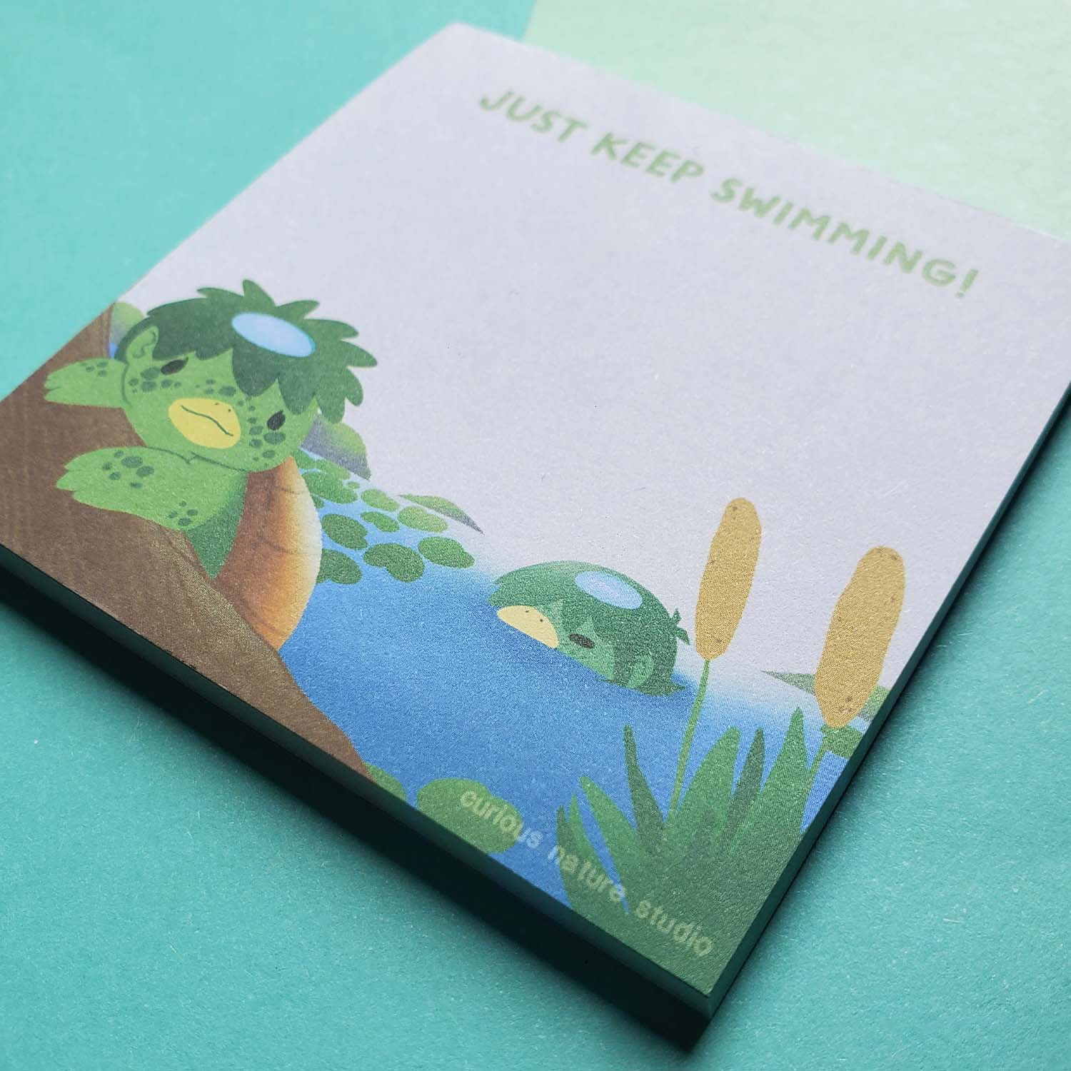 Kappa Pond Notepad – Curious Nature Studio