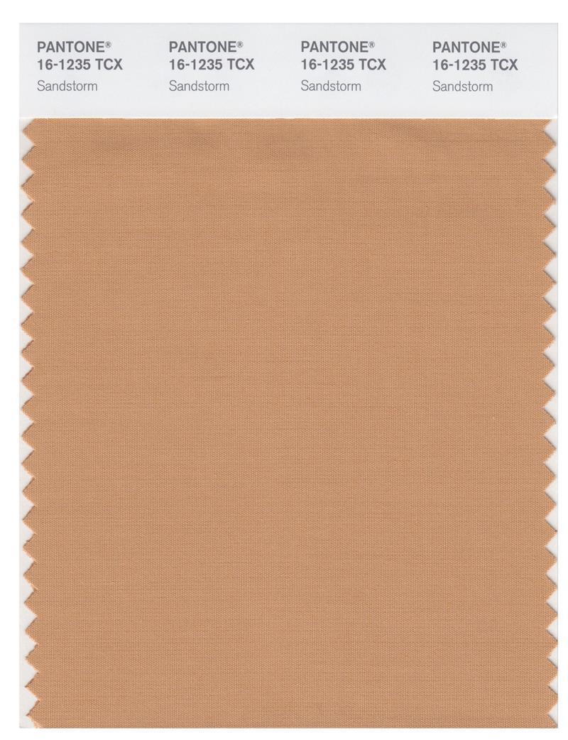 Pantone Smart 16 1235 Tcx Color Swatch Card Sandstorm Magazine Cafe