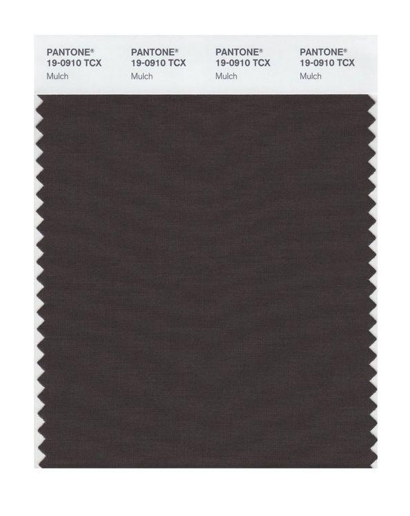 Pantone Smart 19 0910 Tcx Color Swatch Card Mulch Magazine Cafe Store Nyc Usa 1015