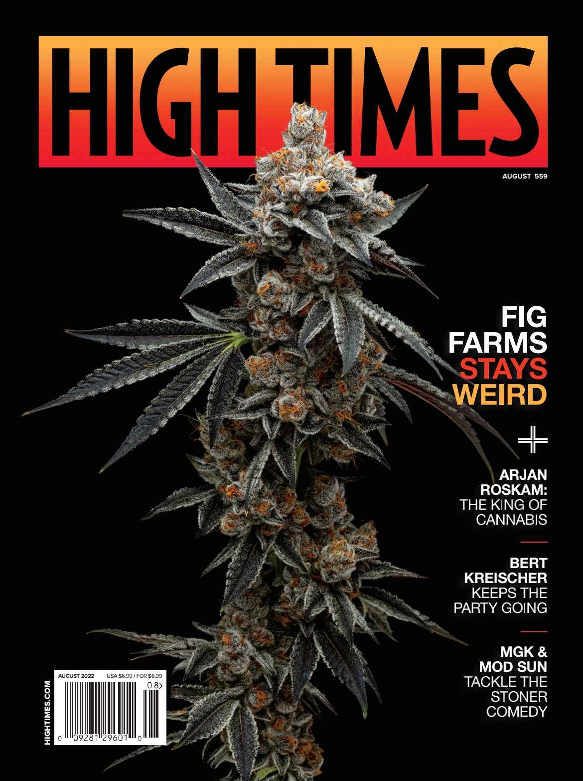 High Times Magazine Subscription Buy at Magazine Café Single Issue