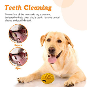 how do you clean a dogs chain