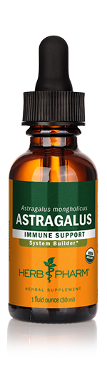 Astragalus
