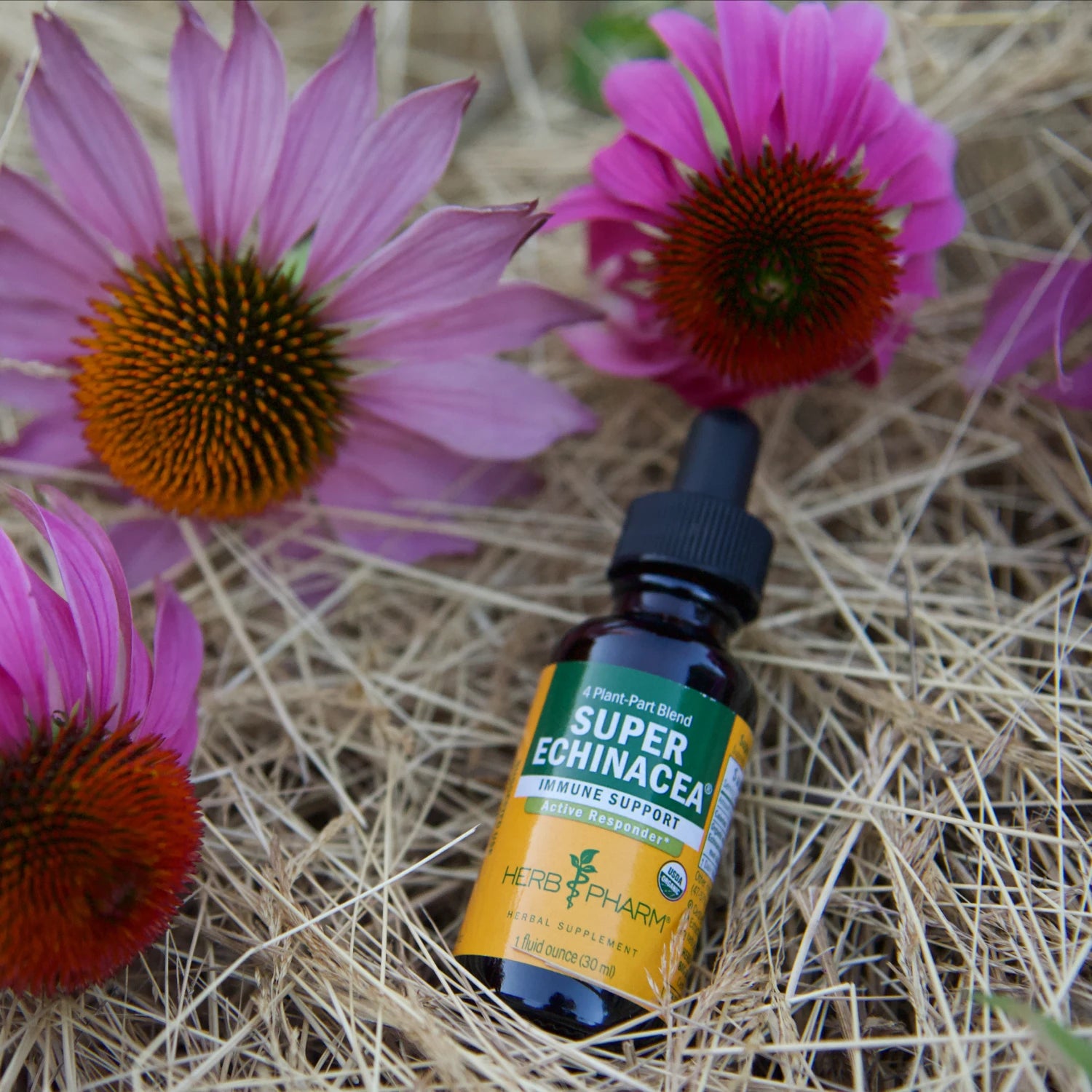 Herb Pharm Super Echinacea