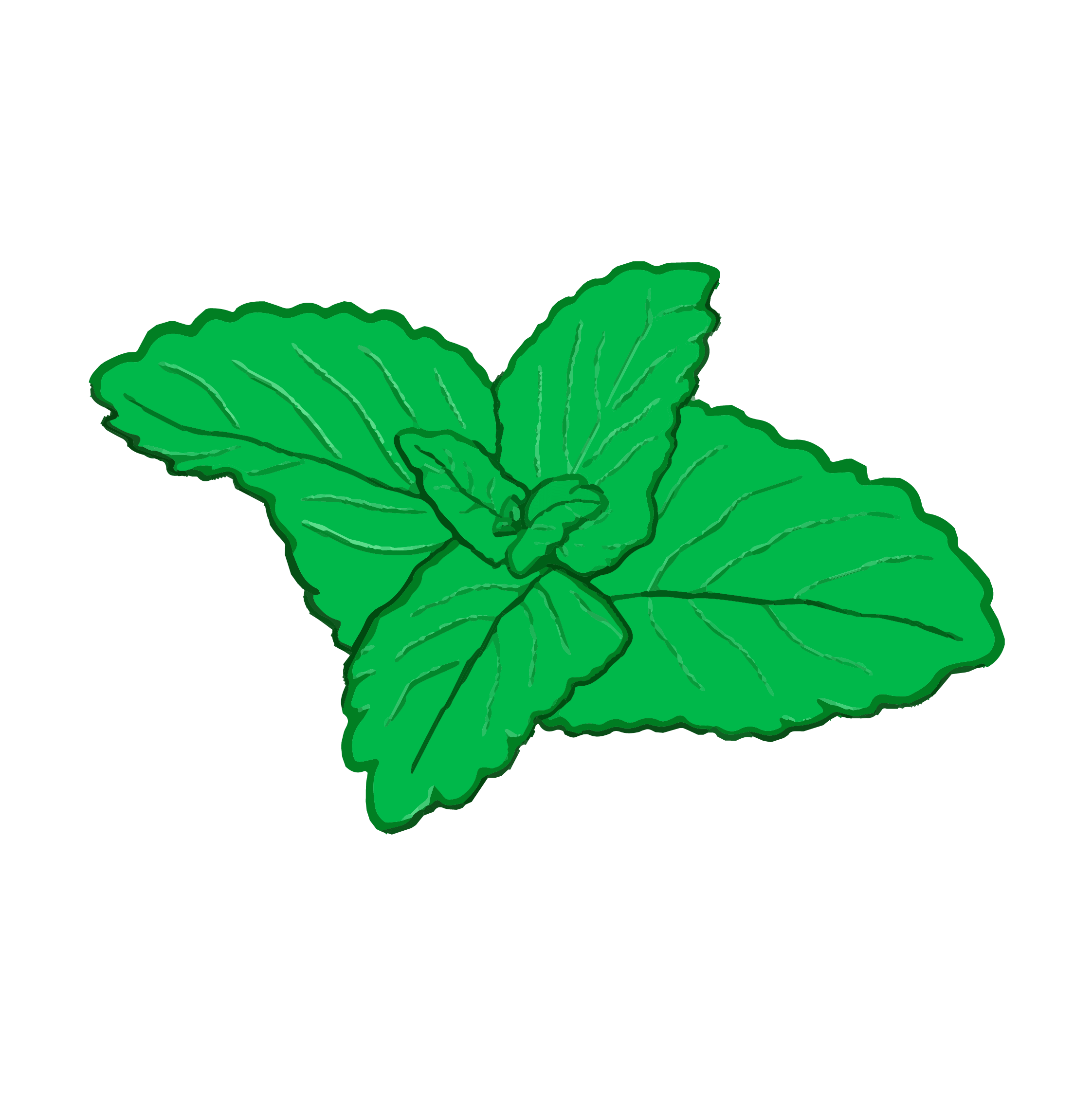 Illustration of Lemon Balm