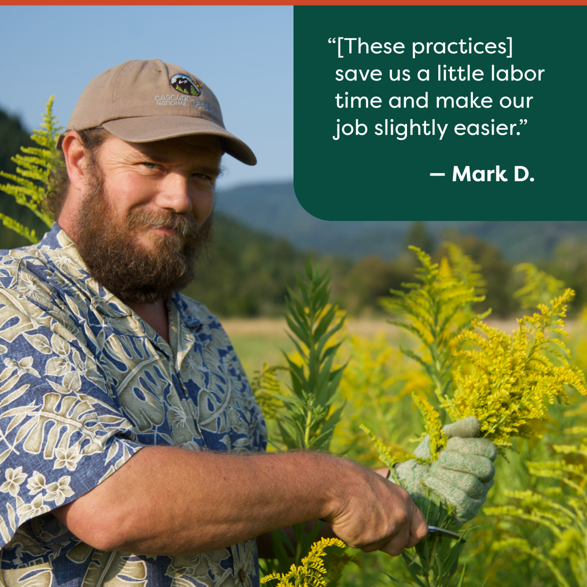 [These practices] save us a little labor time and make our job slightly easier. -Mark D