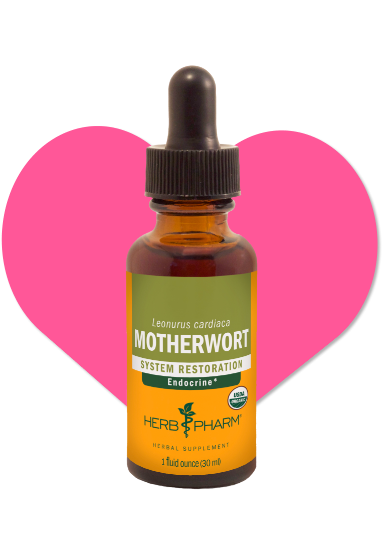 Motherwort