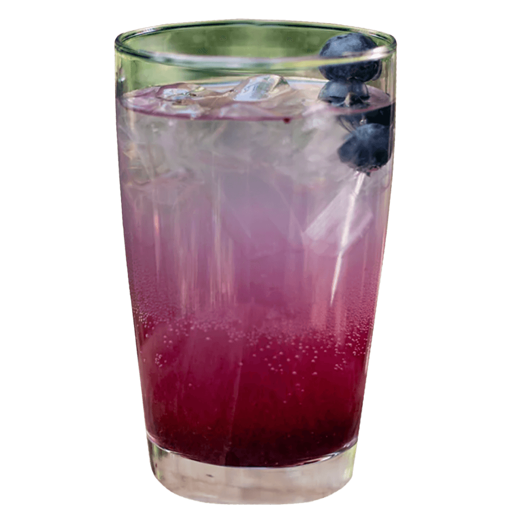 Blueberry-Ginger Lime Soda