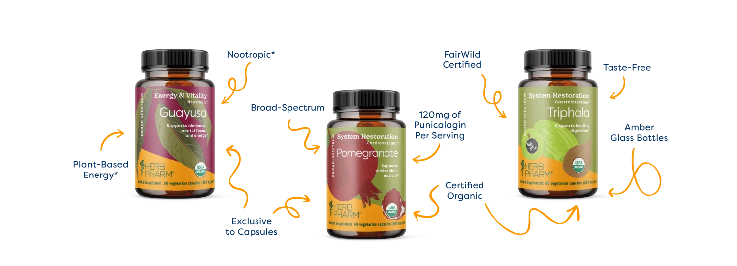 Plant based energy, exclusive to capsules