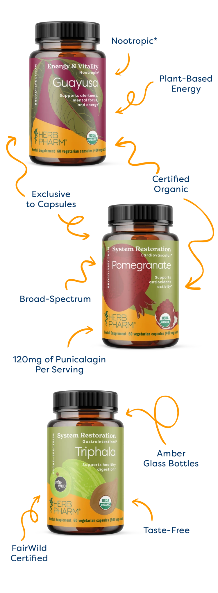 Plant based energy, exclusive to capsules