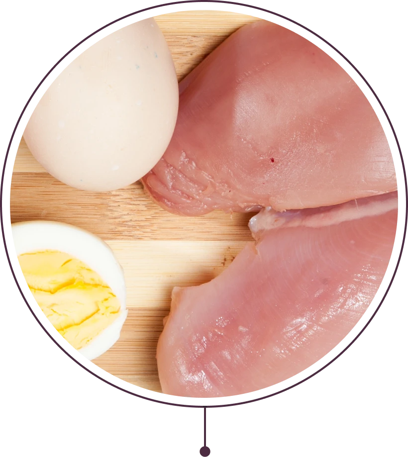 Poultry & Eggs