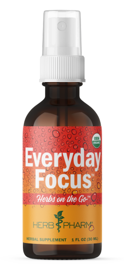Herbs on the Go: Everyday Focus