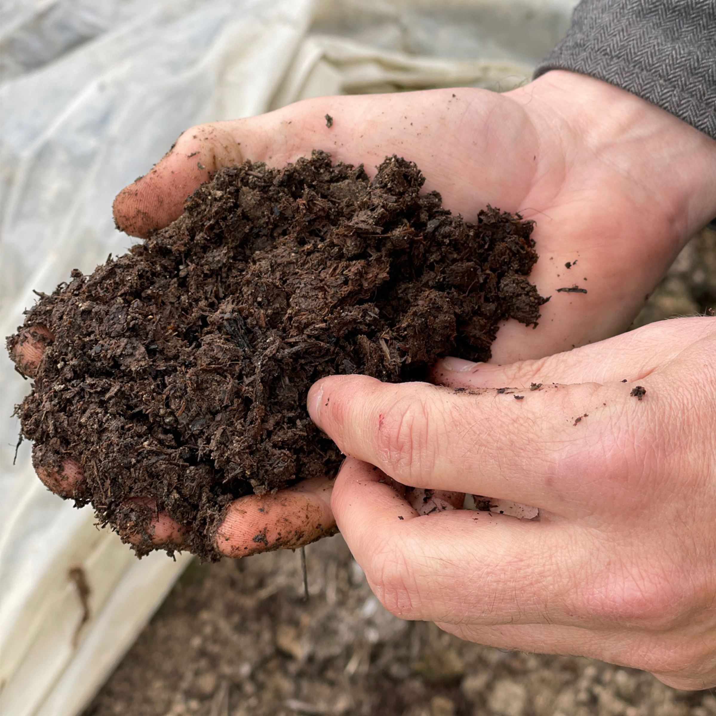 Focus on Soil Health