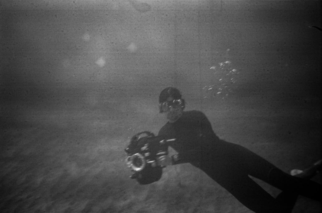 Kelly Hammond Underwater Cinematography