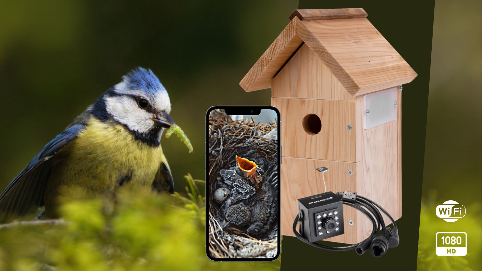 NICHOIR A OISEAUX, plante en ligne