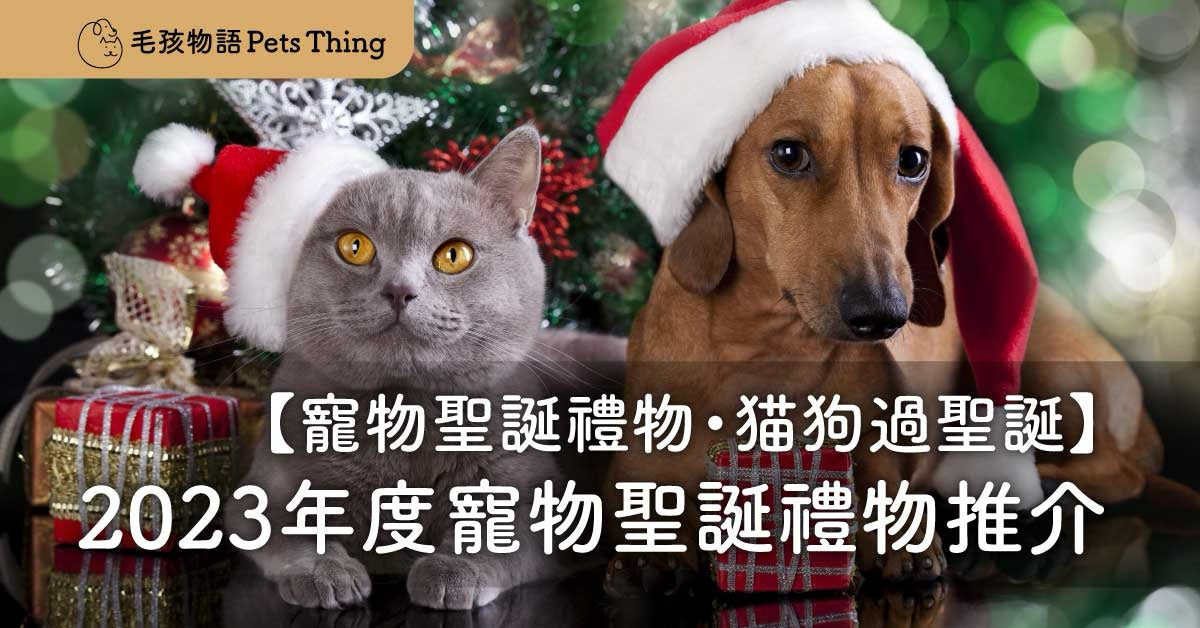 The best Christmas gifts for dogs and cats in 2023