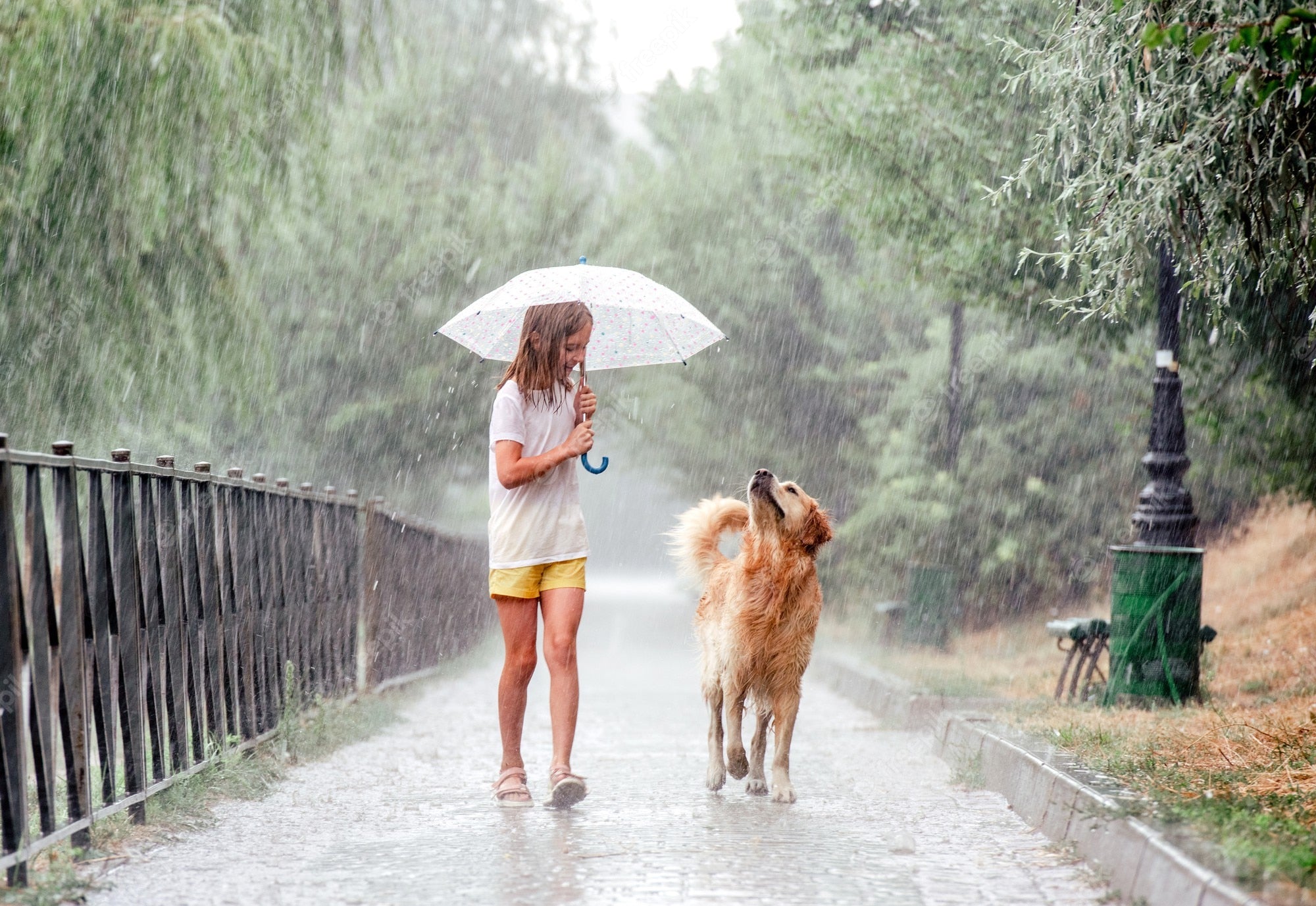 It is difficult for the owner to take the pets to play outdoors. It has been raining for several days, and the poor furry children are looking at the door and looking out of the window every day. Some furry children are used to it and have to go to the bathroom outside, but, The rain is so troublesome, and I am afraid that the fur child will catch a cold, what should I do? In order to keep fur kids from getting bored at home, you can still take your dog out on the street in the rain, as long as you pay attention to the following points.