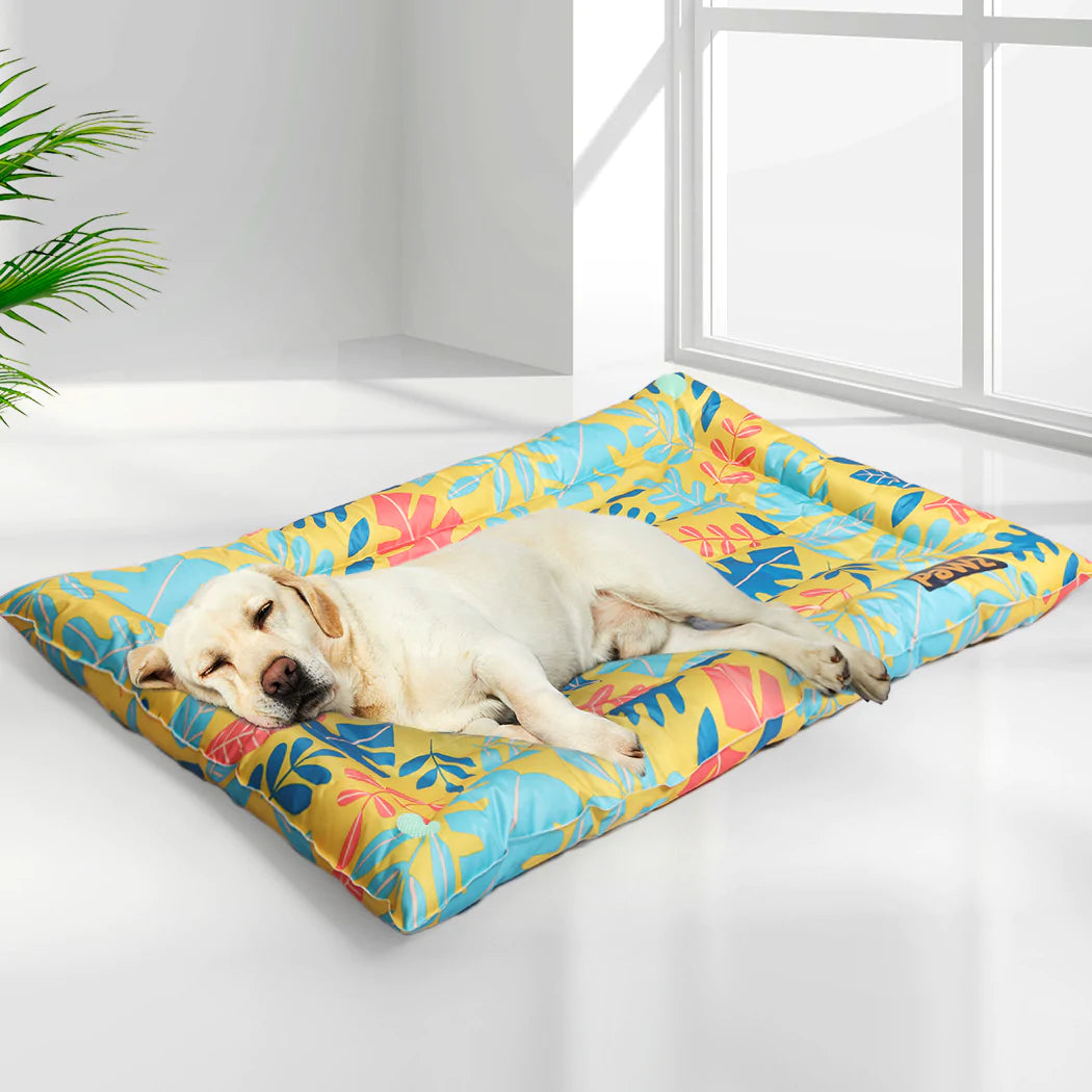 This sleeping pad contains gel-like material or water inside, which makes the sleeping pad feel squishy. It is a very comfortable and cool choice for elderly dogs who are not suitable for sleeping on hard floors.