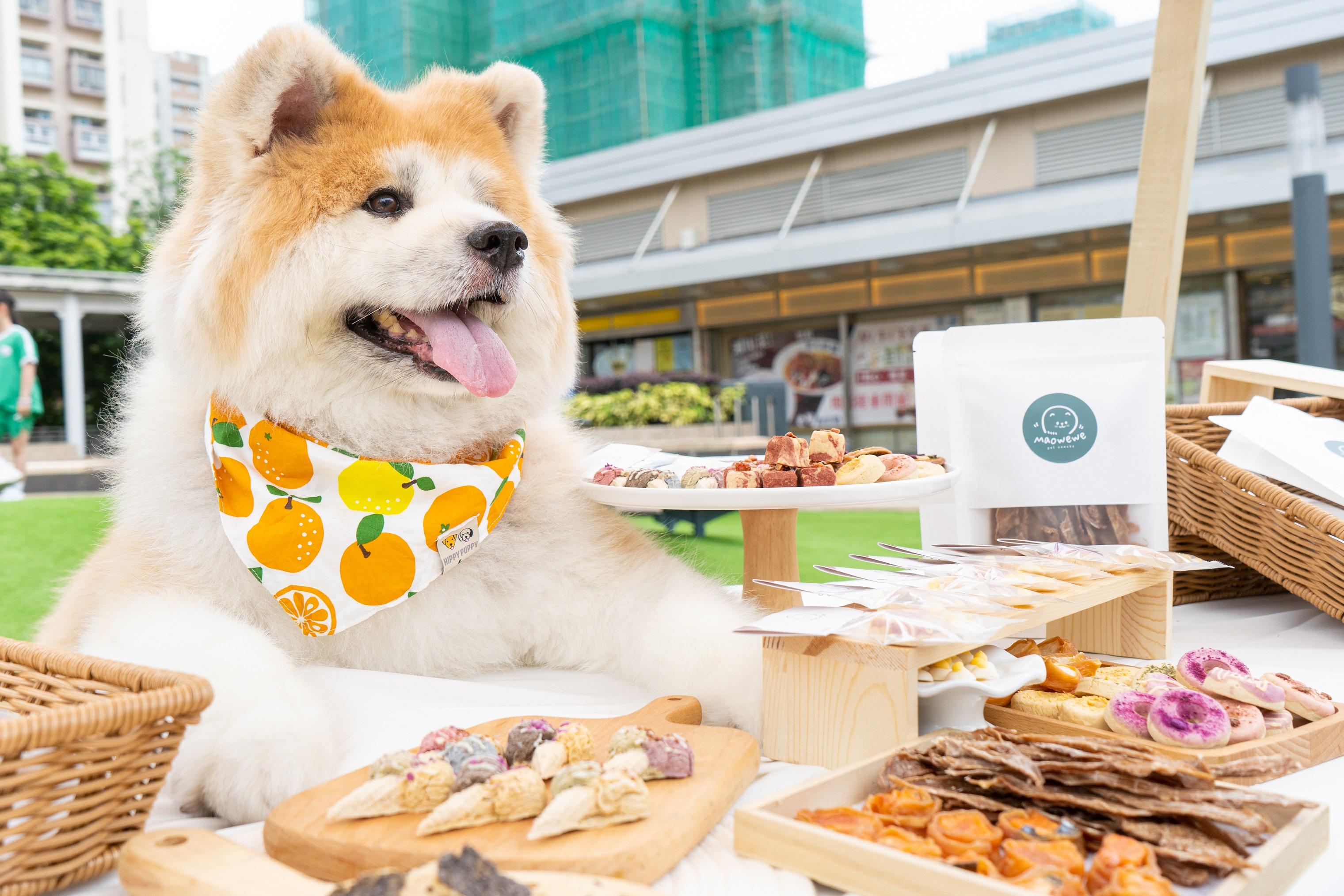 Due to the current food hygiene regulations, dogs are not allowed to enter restaurants and supermarkets; there are many shopping malls in Hong Kong, and there may be more pet-friendly shopping malls that have not yet been discovered. If there are any errors or omissions in the above list, corrections or additions are very welcome!