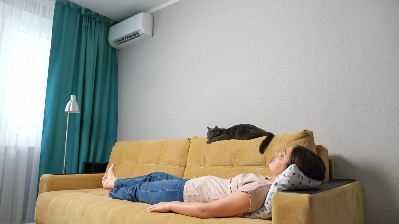 In this weather, turning on the air conditioner is the most effective way to lower the temperature, and being able to turn on the air conditioner and set it at 24°C-26°C is the best way for the cat's body.