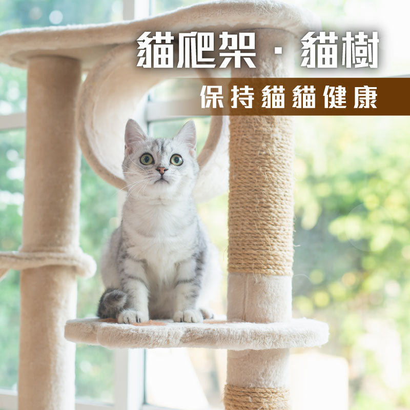 petsthing-promotion-cat-tree