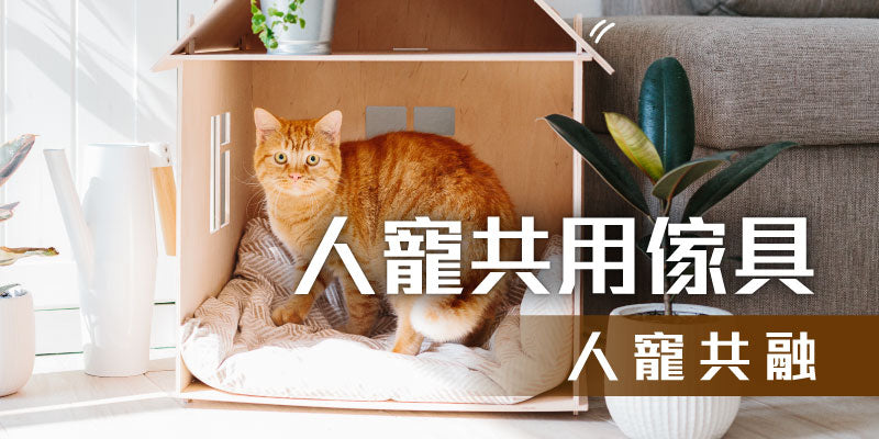 petsthing-promotion-pet-furniture